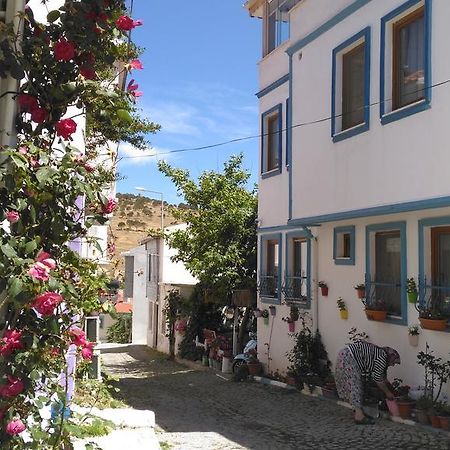 Adali Guest House Τένεδος Εξωτερικό φωτογραφία